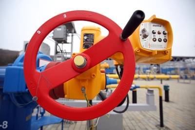 В Госдуме назвали «хотелками» условия Украины по транзиту газа