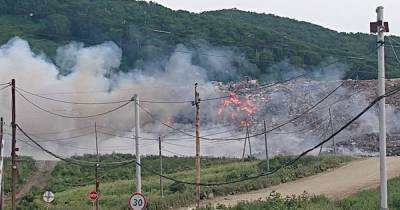 Пожар охватил крупный мусорный полигон около Петропавловска