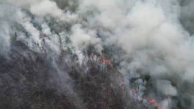 Вести в 20:00. Сотни гектаров выжженной тайги: пожар был похож на огненный шторм