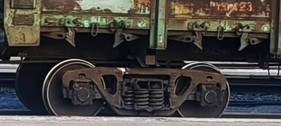 Стадо кабанов попало под грузовой поезд в Карелии