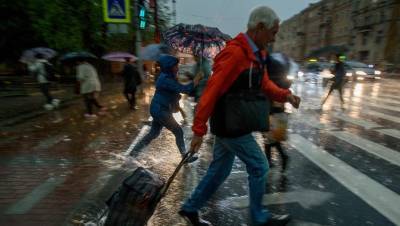 Главный синоптик Петербурга пообещал дожди на выходных
