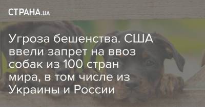 Угроза бешенства. США ввели запрет на ввоз собак из 100 стран мира, в том числе из Украины и России