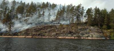 Жители поселка спасали лес от пожара на острове в Приладожье Карелии (ФОТО)