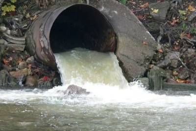 Исправительное учреждение в Смоленской области оштрафовали за загрязнение реки
