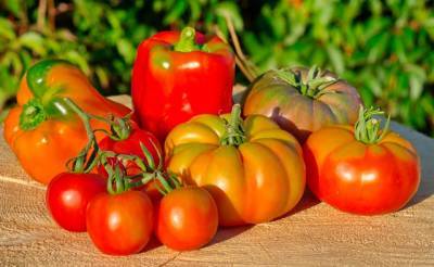 Россельхознадзор вводит временные ограничения на поставки в Россию томатов и перца из Бухарской области