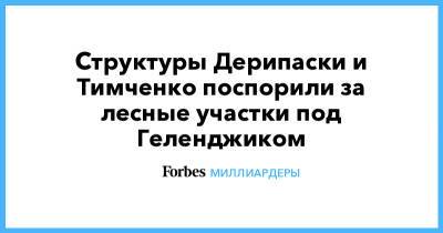 Структуры Дерипаски и Тимченко поспорили за лесные участки под Геленджиком