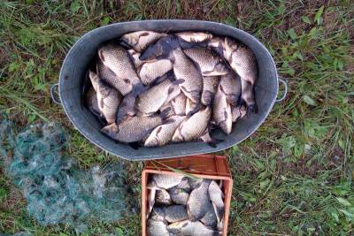 В Курганской области за первое полугодие выросла добыча рыбы