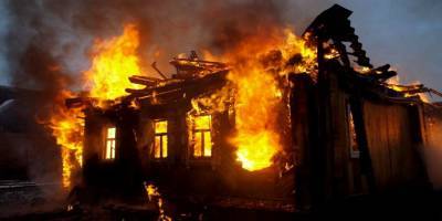 На пожаре в Чаусах погибли мать и сын