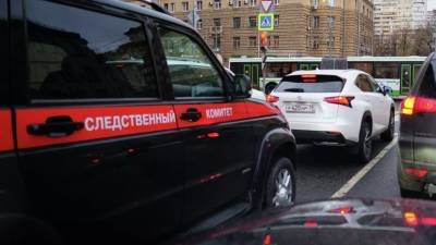 Дело возбуждено после массовой драки у метро «Кузьминки» в Москве