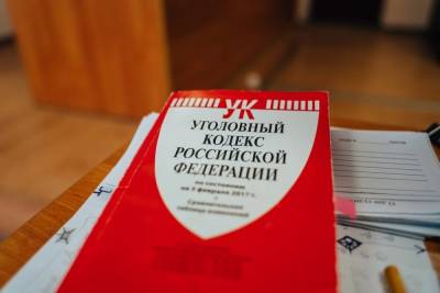 Трое жителей Тверской области пошли под суд за серию краж