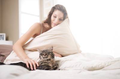 На что обращать внимание, если кошка спит с вами в одной постели?
