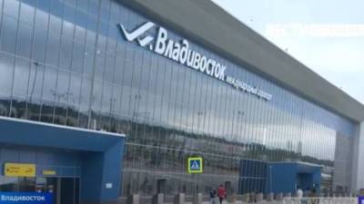 Искать не намерены: в аэропорту Владивостока потеряли кота при погрузке