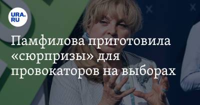 Памфилова приготовила «сюрпризы» для провокаторов на выборах