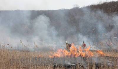 В Башкирии потушили лесной пожар площадью более 12 гектар