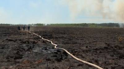 Километры выжженной земли: Краснокамск накрыл сильный смог