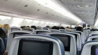Эксперт назвал меры профилактики правонарушений в самолётах