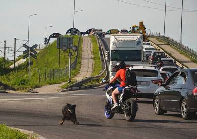 Мост дорогой. Платный путепровод в Рязани создает пробки за деньги