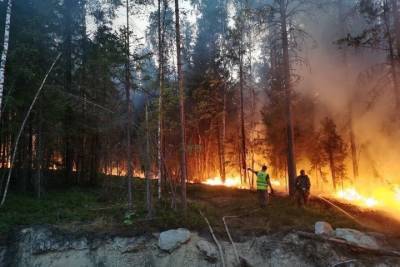 27 новых лесных пожаров произошли в Карелии за сутки