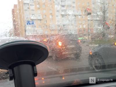 Дожди с грозами и порывистым ветром ожидаются в Нижегородской области в ближайшие три часа