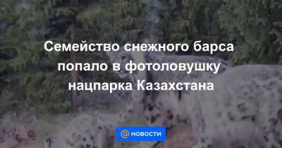 Семейство снежного барса попало в фотоловушку нацпарка Казахстана