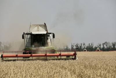 Вениамин Кондратьев поручил разработать программу субсидий для переработчиков пшеницы