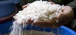 В России могут взлететь цены на соль: Поставщики предупредили о повышении на 30%