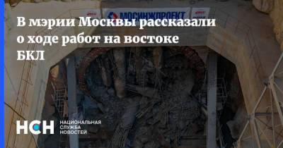 В мэрии Москвы рассказали о ходе работ на востоке БКЛ