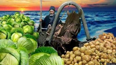 «Золотая эра» закончилась: как Крым потерял статус аграрного региона