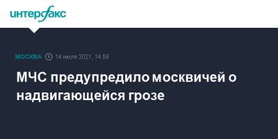 МЧС предупредило москвичей о надвигающейся грозе
