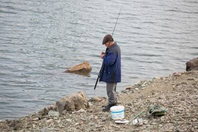 Росприроднадзор: из-за жары в Неве может начаться замор рыбы