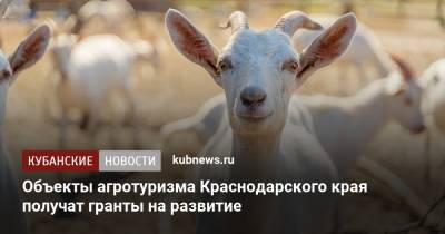 Объекты агротуризма Краснодарского края получат гранты на развитие