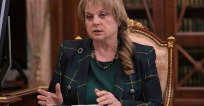 Памфилова пообещала "сюрпризы" провокаторам на думских выборах