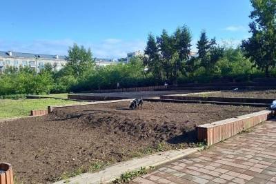 Организация «Зелёный город» высадит газон и цветы на площади Декабристов в Чите