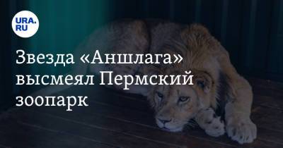 Звезда «Аншлага» высмеял Пермский зоопарк