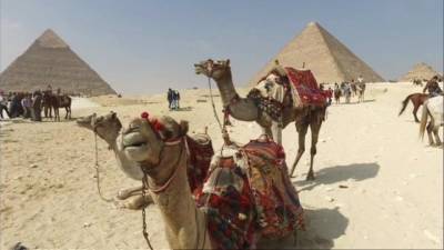 Чартеры в Египет возобновятся к середине августа