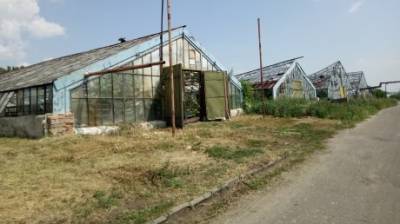 Депутаты гордумы обсудили вывод МУП «Зеленое хозяйство» из кризиса