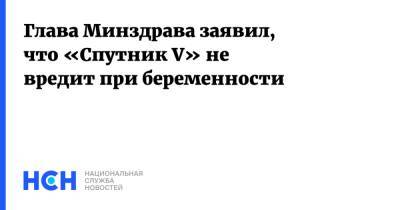 Глава Минздрава заявил, что «Спутник V» не вредит при беременности