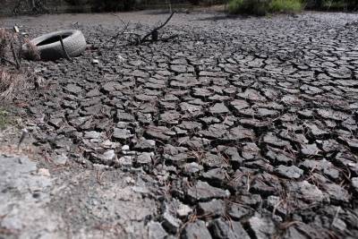 В Курганской области из-за засухи планируется ввести режим ЧС