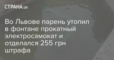 Во Львове парень утопил в фонтане прокатный электросамокат и отделался 255 грн штрафа