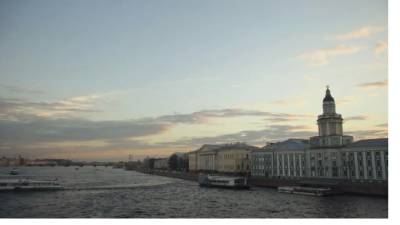 Росприроднадзор: аномальная жара в Петербурге может привести к массовой гибели рыб в Неве