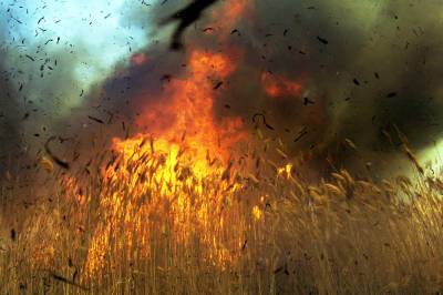 Грузовик загорелся на Ставрополье, пламя перешло на пшеничное поле