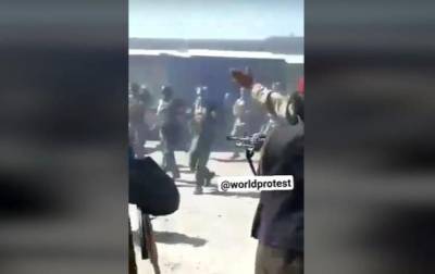 Опубликовано видео расстрела талибами военных. 18+