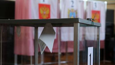 В России ограничат доступ к онлайн-трансляциям с избирательных участков