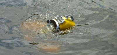 В Финском заливе обнаружили исчезнувшую 70 лет назад подводную лодку