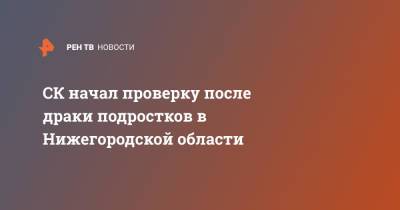 СК начал проверку после драки подростков в Нижегородской области