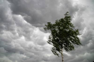 МЧС предупреждает ульяновцев о сильном ветре, грозе и граде