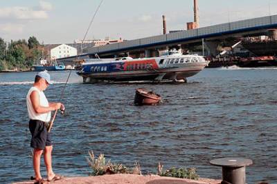 Рыба в российском городе оказалась под угрозой гибели из-за аномальной жары