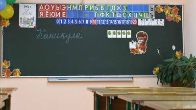 Решение о каникулах в школах на время выборов примет Минпросвещения