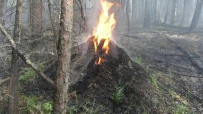 Новости на "России 24". В Якутии горит более 1,3 миллиона гектаров леса
