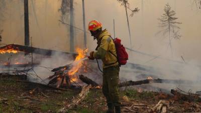 Ситуация накалена до предела: авиация вступила в борьбу с лесными пожарами в Якутии